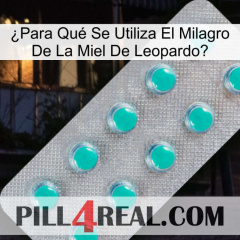 ¿Para Qué Se Utiliza El Milagro De La Miel De Leopardo 28